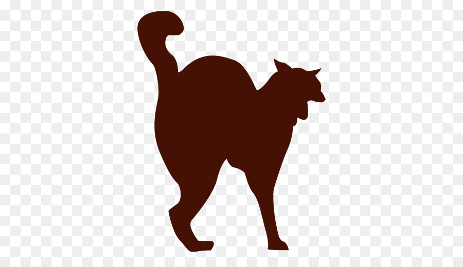 Chat，Animal De Compagnie PNG