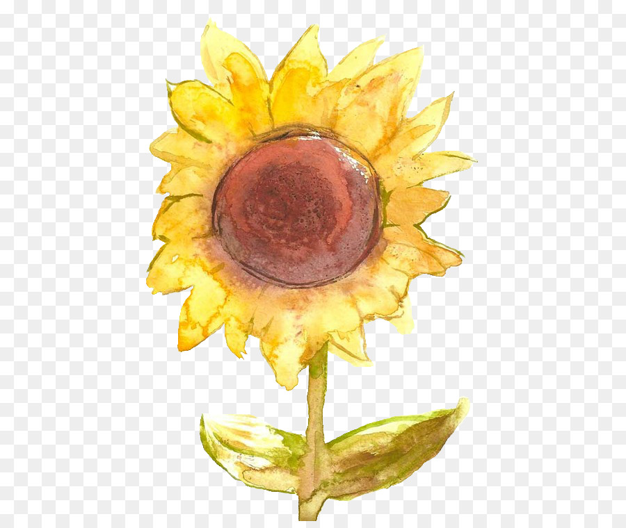 Tournesol，Usine PNG