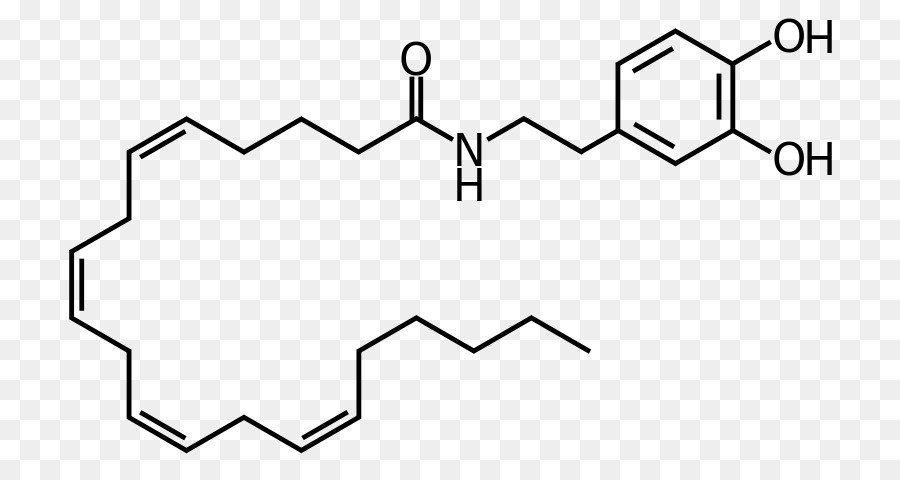 Structure Chimique，Molécule PNG