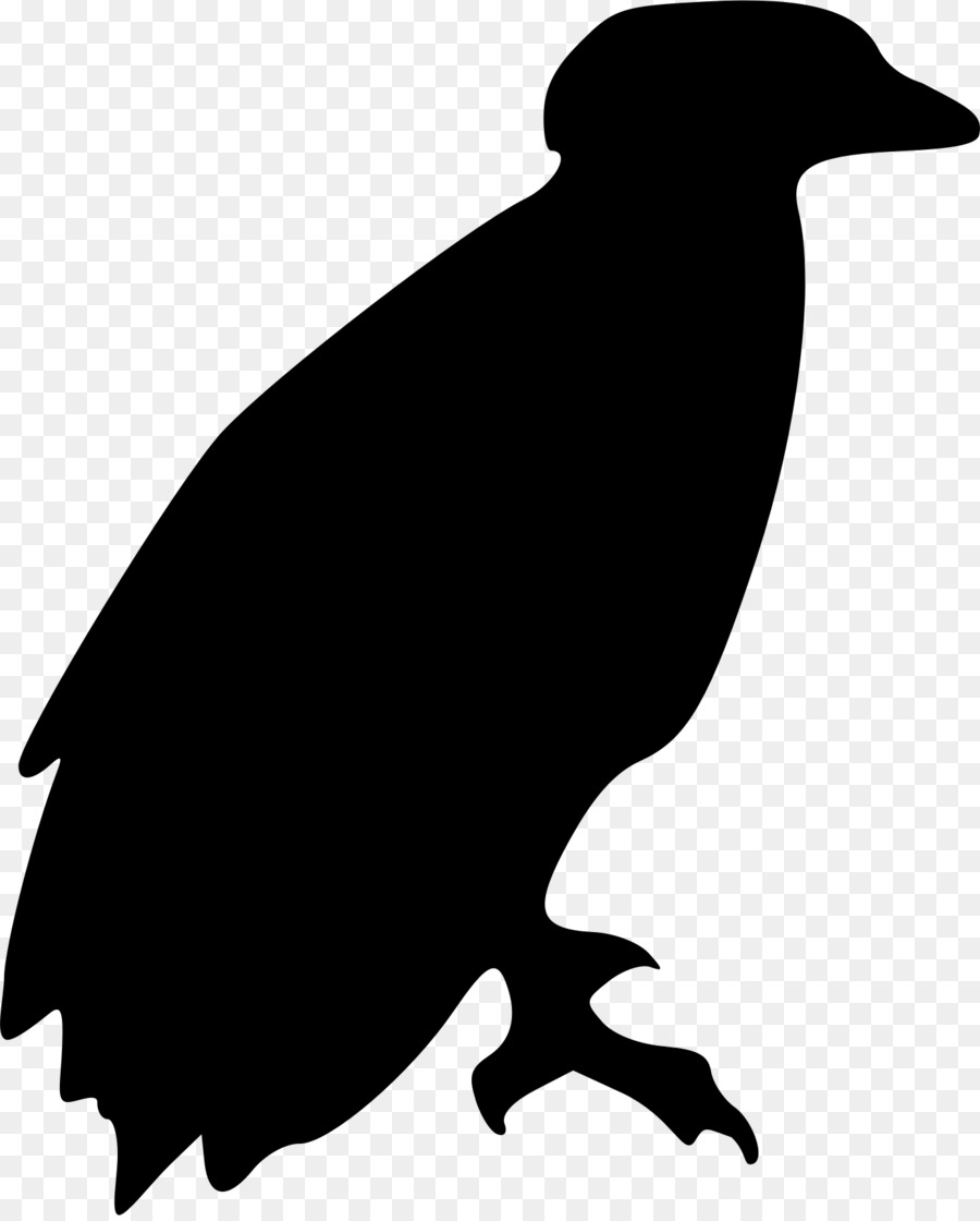 Silhouette，Aigle PNG