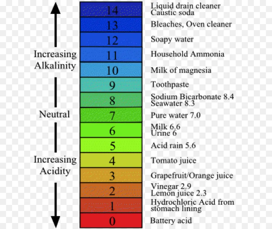 Échelle De Ph，Acidité PNG