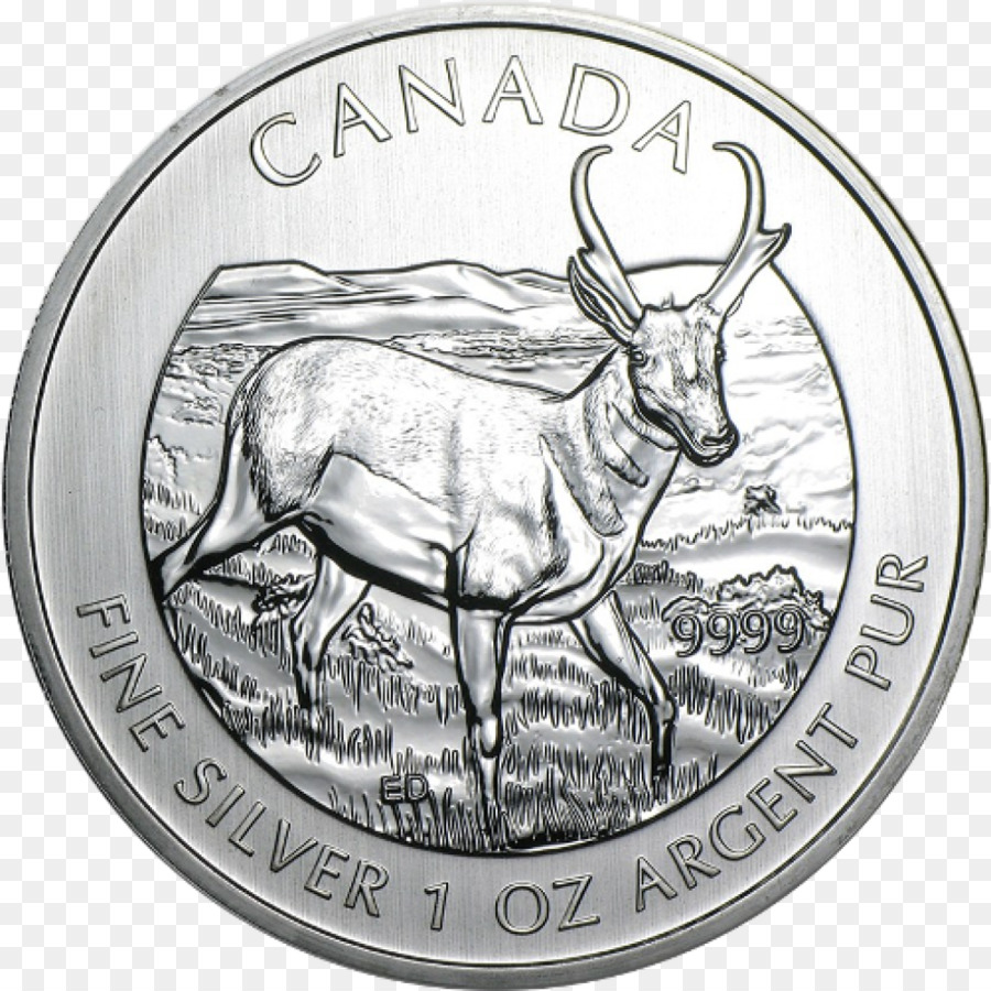 Canada，Monnaie De Lingots PNG