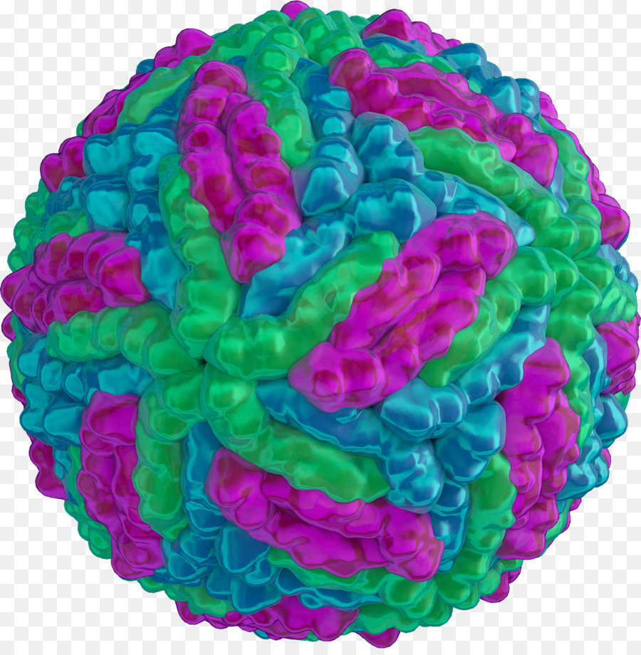 Modèle De Virus，Virus PNG