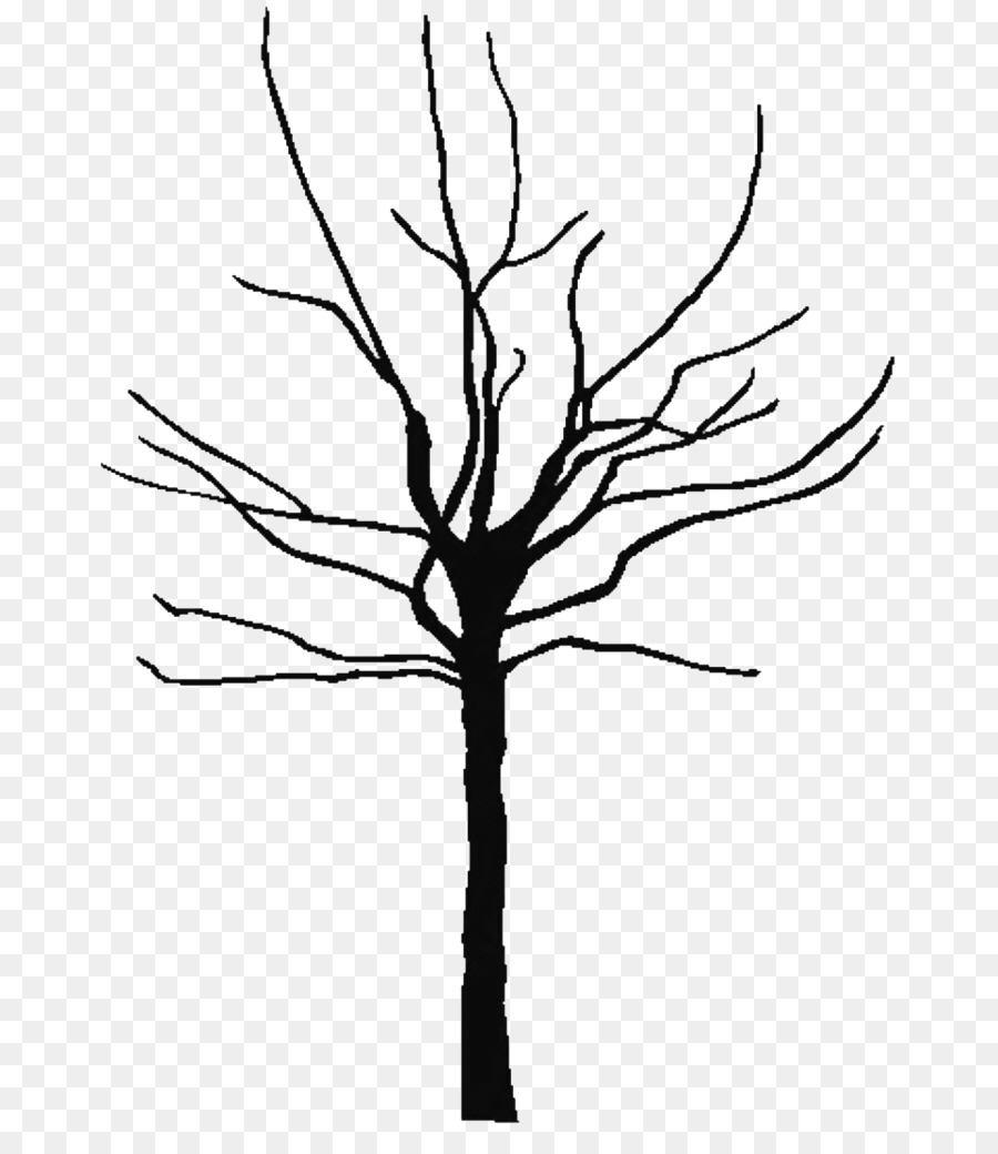 Arbre Nu，Bifurquer PNG