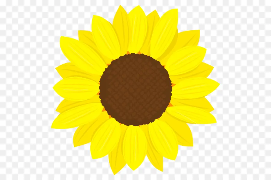 Tournesol，Jaune PNG