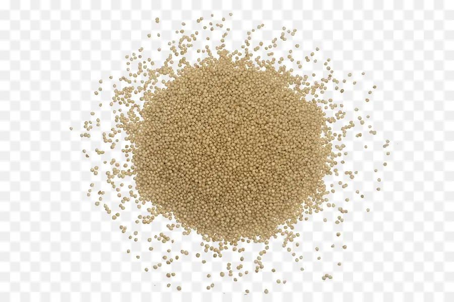 Graines De Sésame，Grains PNG