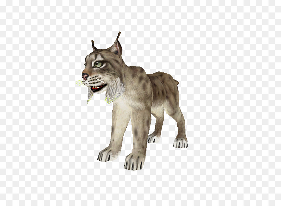 Cougar，Chat PNG