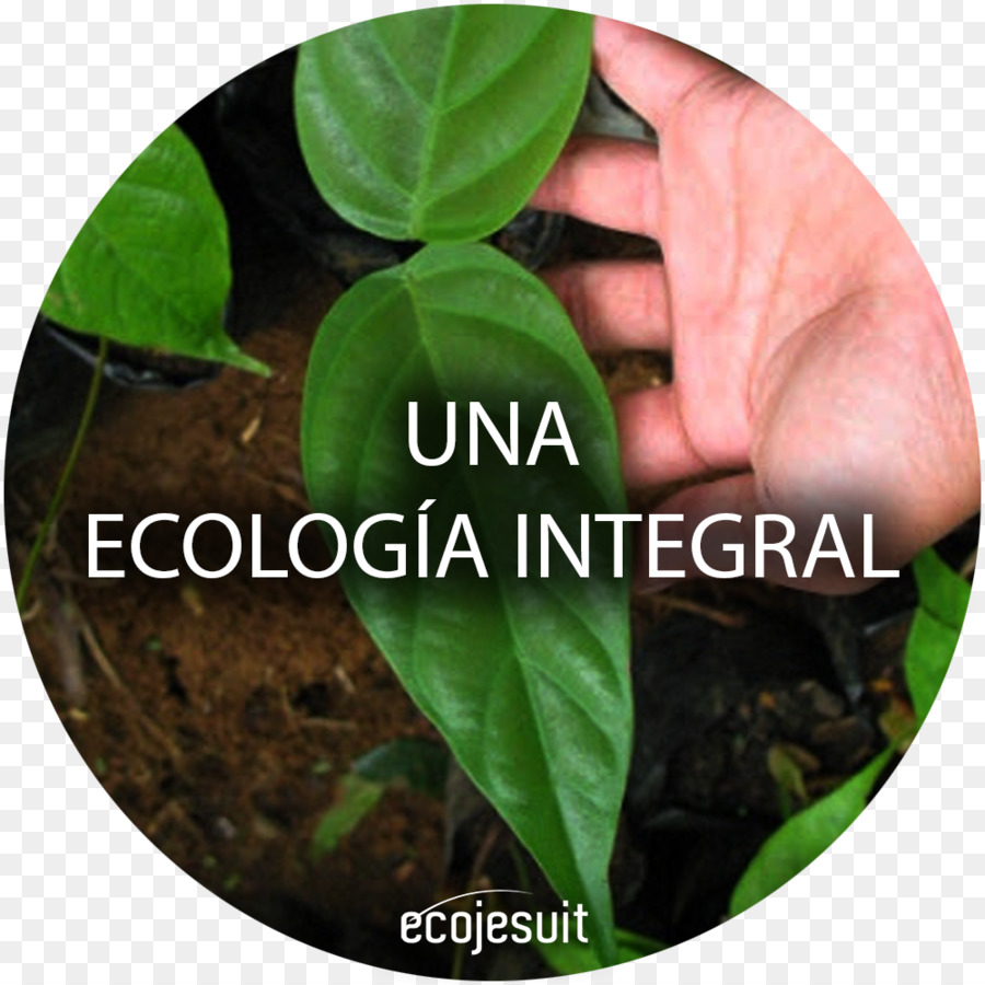 Laudato Si，L écologie PNG