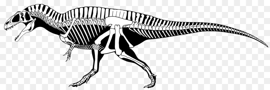 Squelette De Dinosaure，Préhistorique PNG