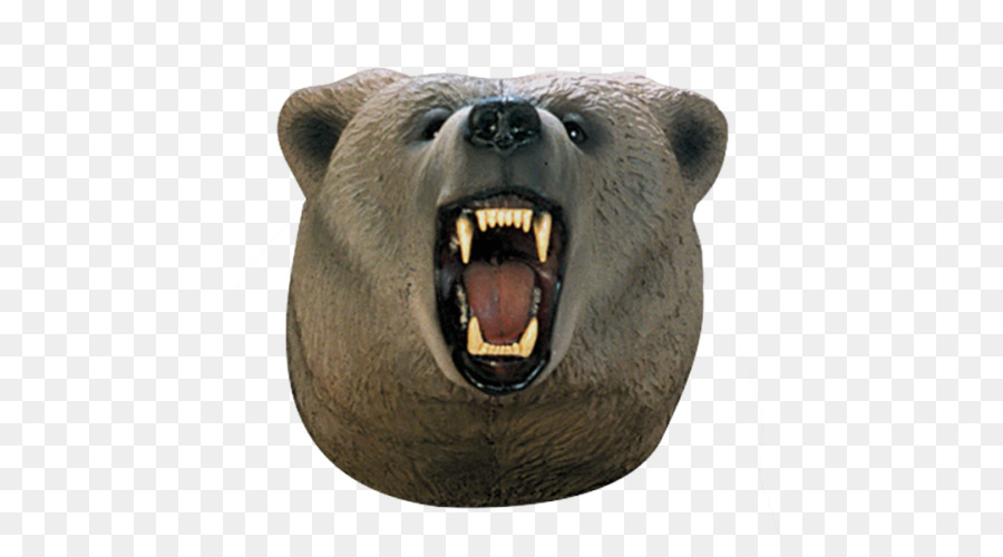 Tête D'ours，Rugissement PNG