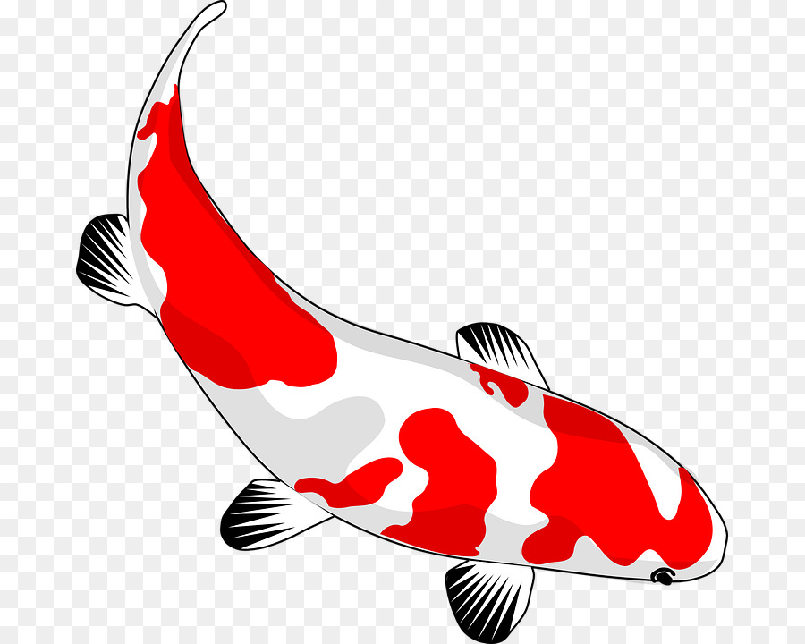 Poisson Koi，Rouge PNG