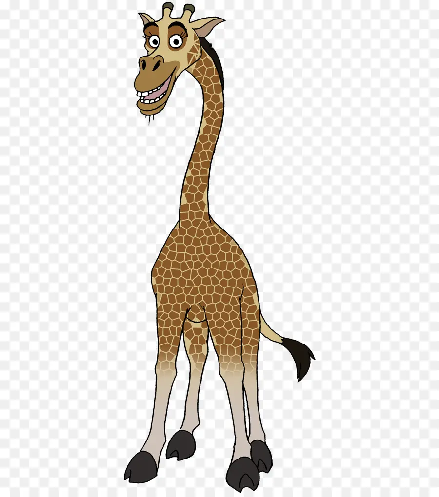 Toise Girafe，Animal PNG