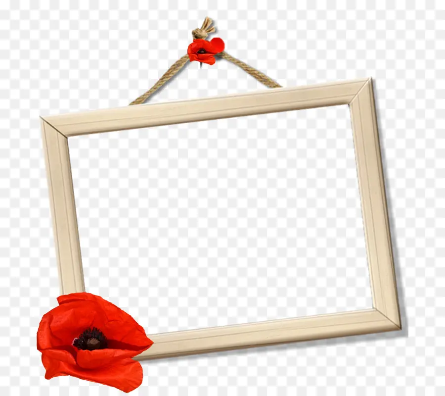 Cadre Photo，Suspendu PNG