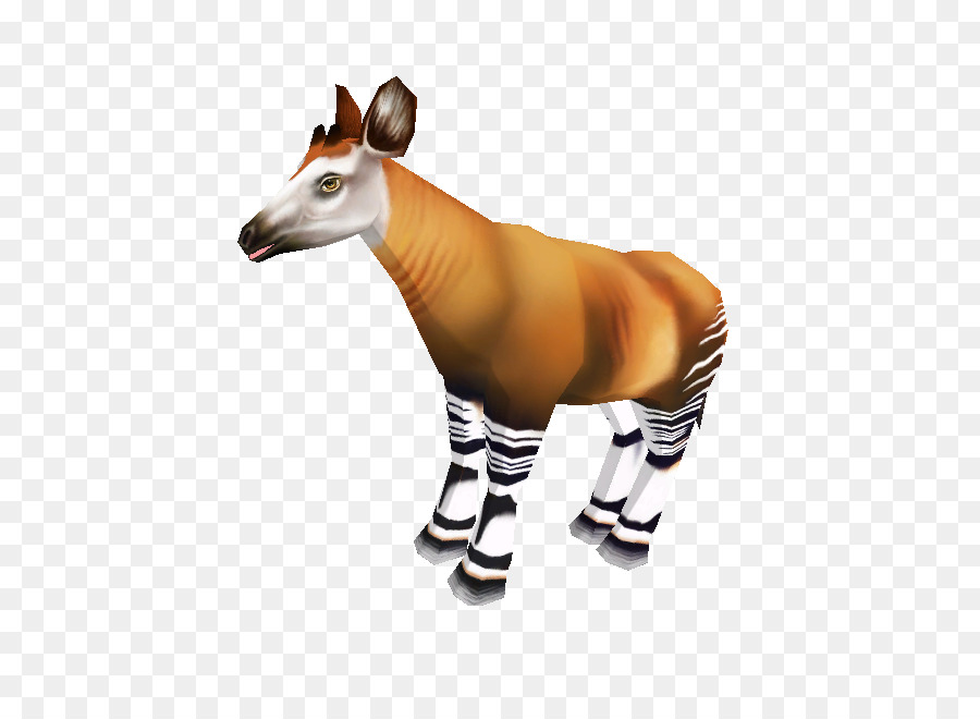 Okapi，Girafe PNG