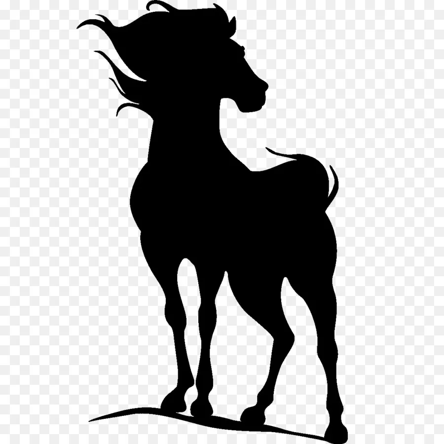 Cheval，Silhouette PNG