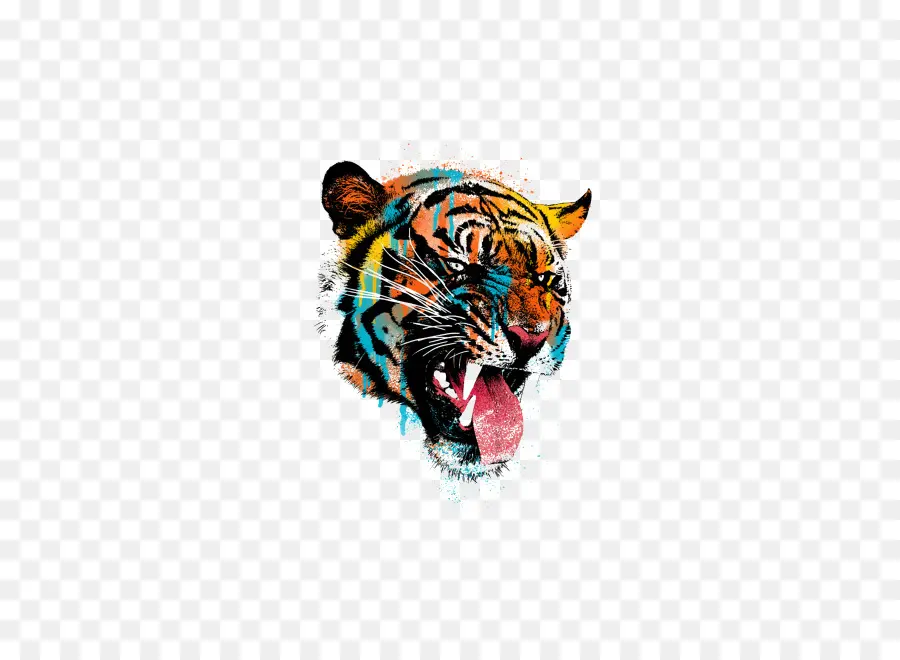 Tigre Coloré，Tigre PNG