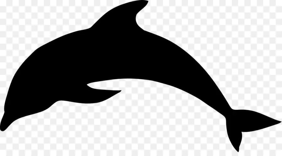 Orque，Baleine PNG