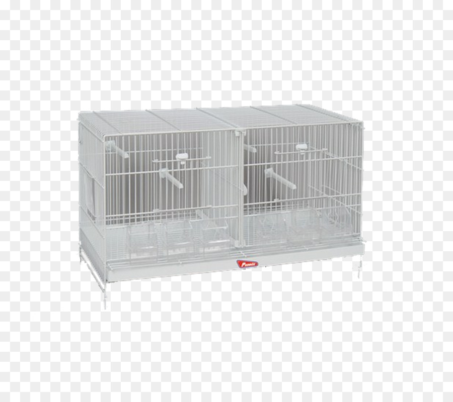 Cage，Intérieur Canaries PNG