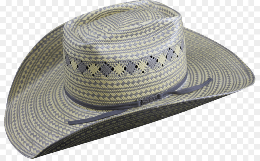 Fedora，Chapeau De Cow Boy PNG