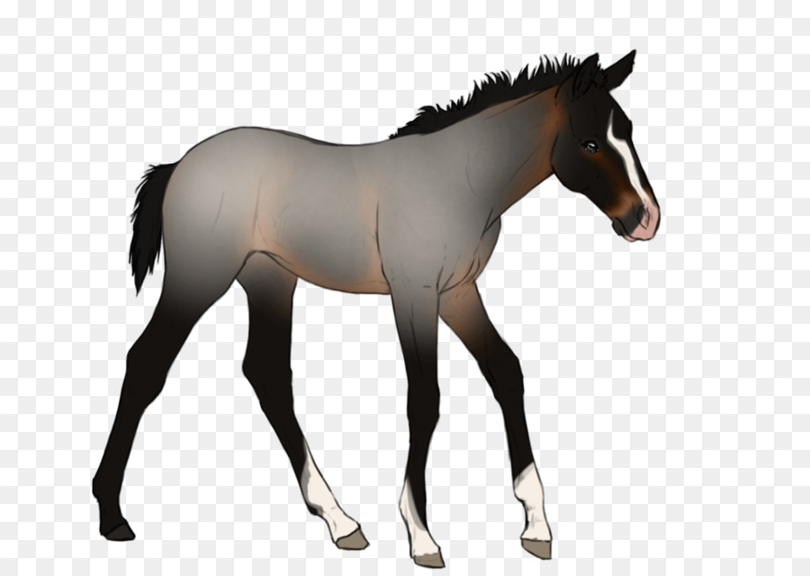 Cheval Décoré，Motifs Verts PNG