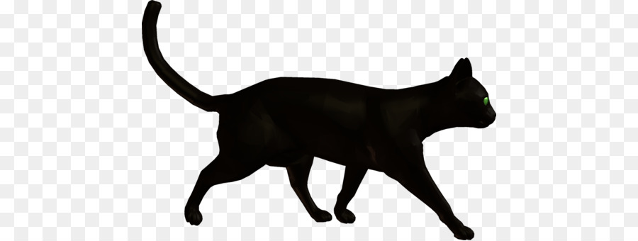 Chat Noir，Animal De Compagnie PNG