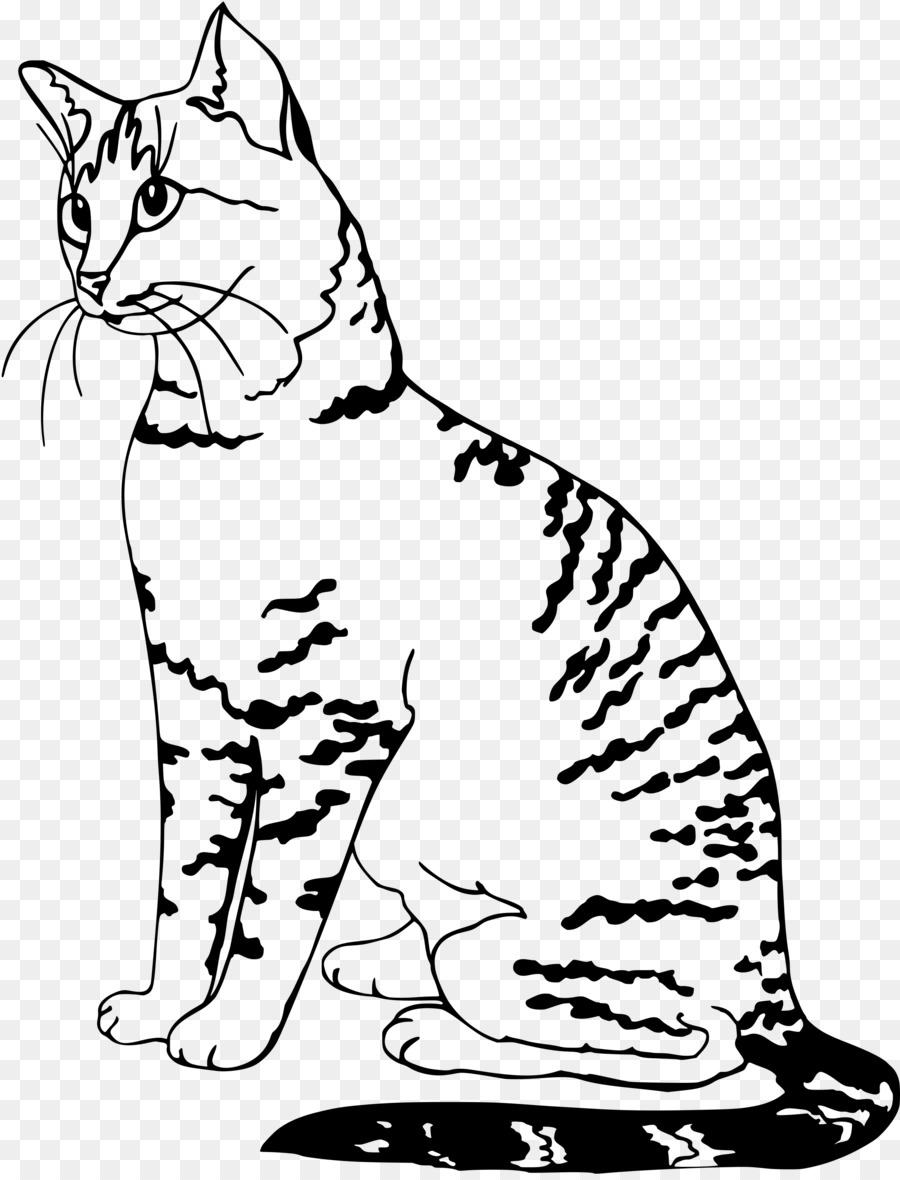 Croquis De Chat，Animal PNG