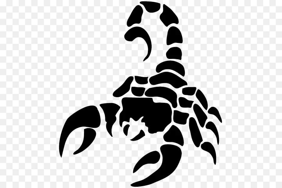 Scorpion Noir，Arachnide PNG