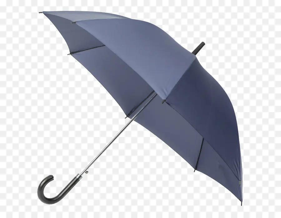 Parapluie，Pluie PNG