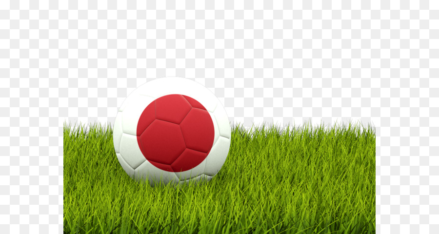 Ballon De Football，Football PNG