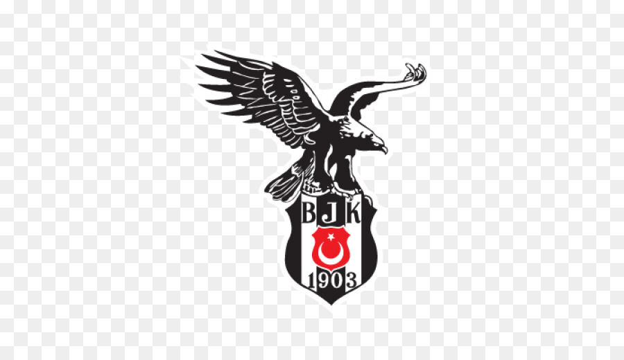 Le Beşiktaş Jk équipe De Football，Iwci 2015 PNG