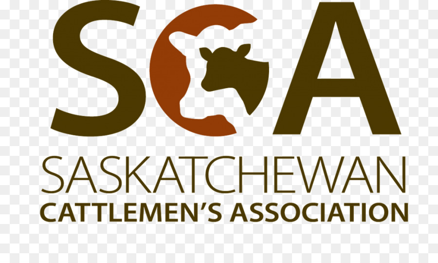 La Saskatchewan Cattlemen S Association，Simmental Bovins PNG