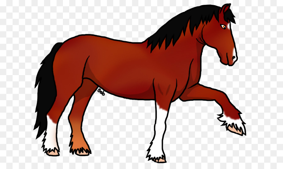 Cheval，équidé PNG