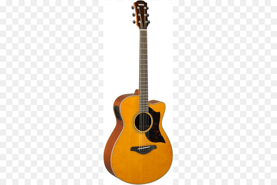 Guitare，Cordes PNG