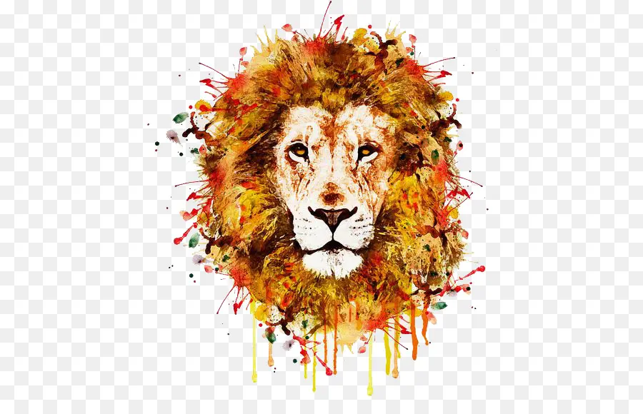 Lion，Le Lapin De Lionhead PNG