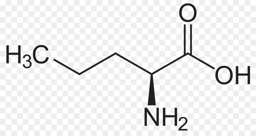 Méthionine，Isoleucine PNG