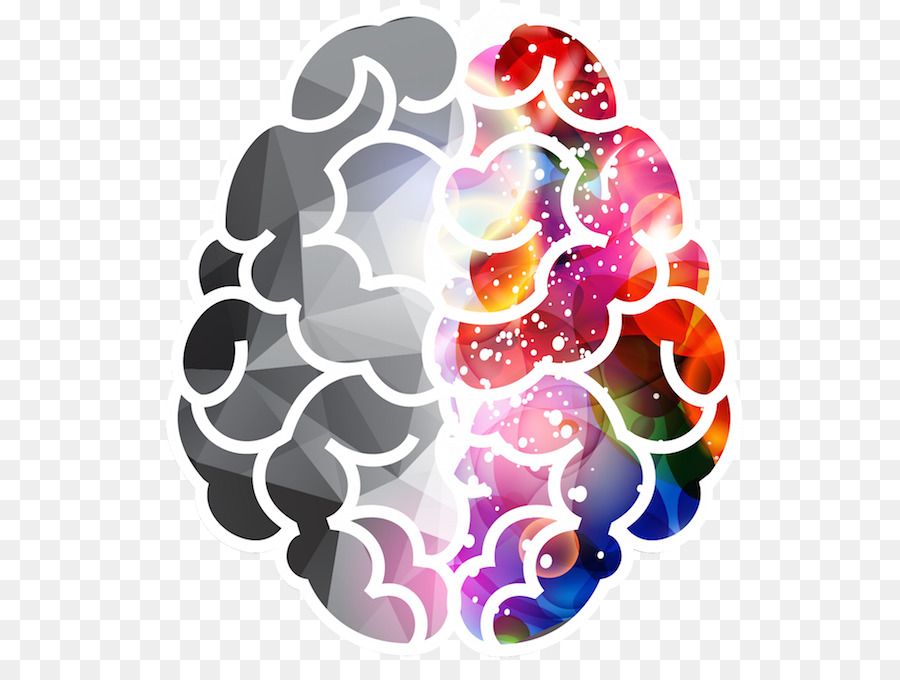 cerveau la lateralisation des fonctions cerebrales le cerveau humain png cerveau la lateralisation des fonctions cerebrales le cerveau humain transparentes png gratuit cerveau humain png