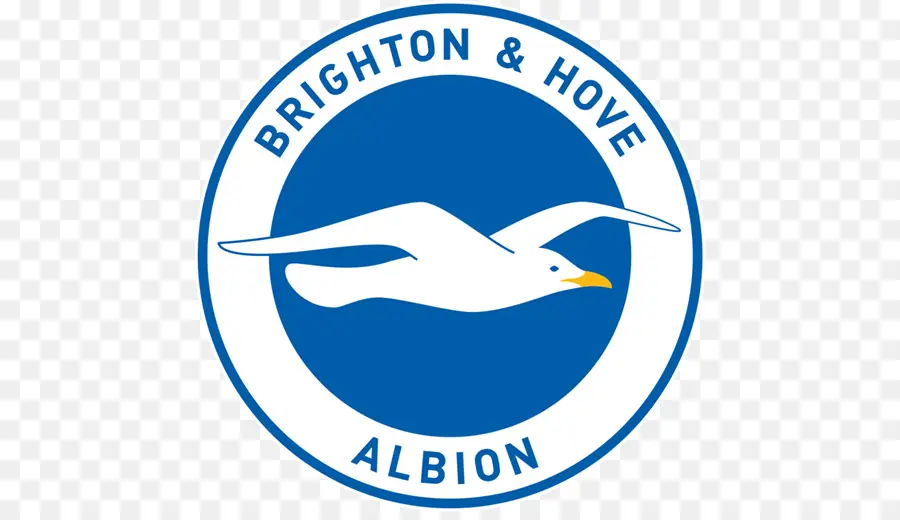 Logo Brighton Hove Albion，Mouette PNG