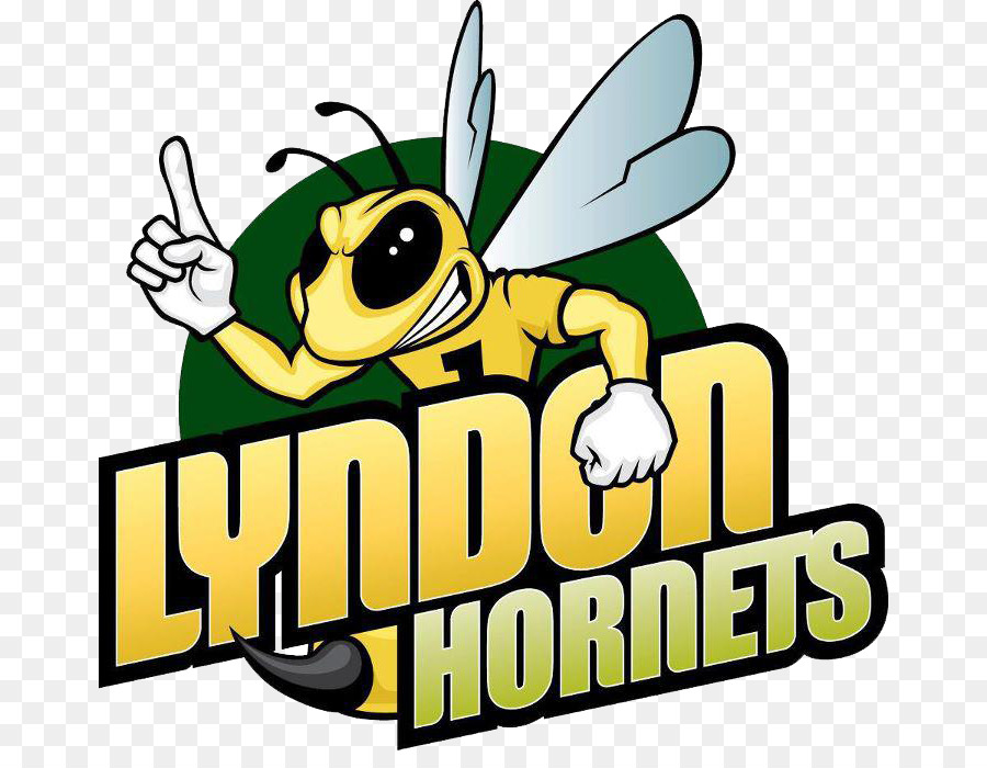 Lyndon State College，Lyndon State Hornets Basket Ball Des Hommes PNG