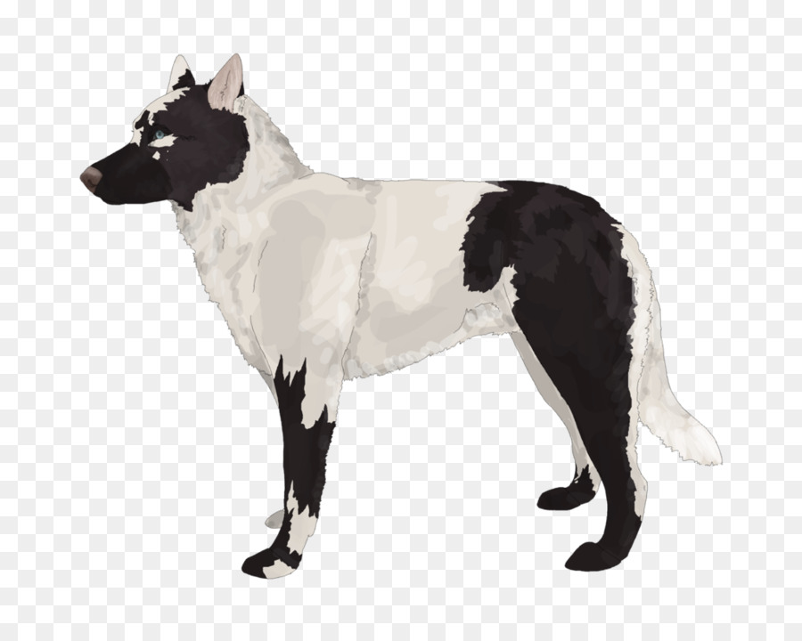 Chien，Noir PNG