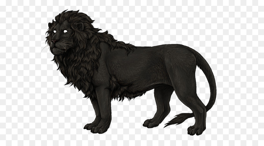 Lion Noir，Lion PNG