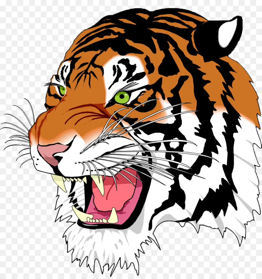 Tigre，Animal PNG