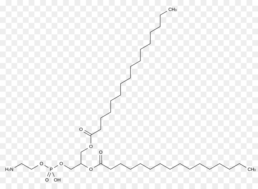 Structure Chimique，Molécule PNG