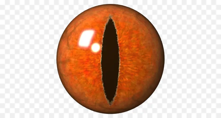 Oeil De Chat Orange，œil PNG