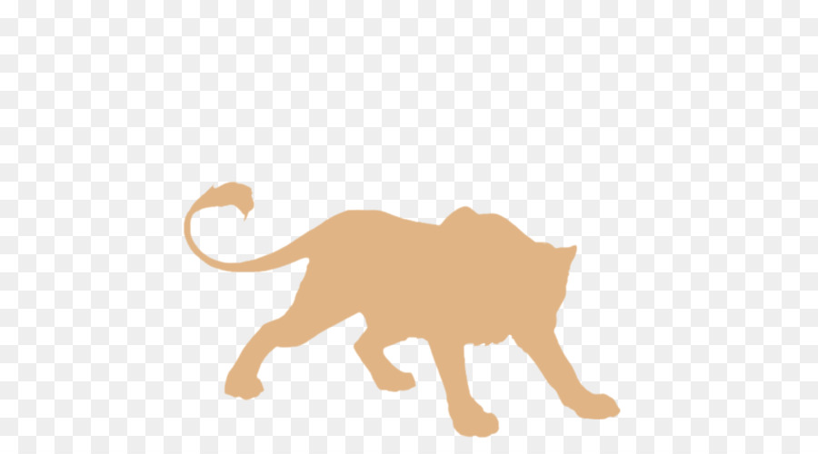 Lion，Felidae PNG
