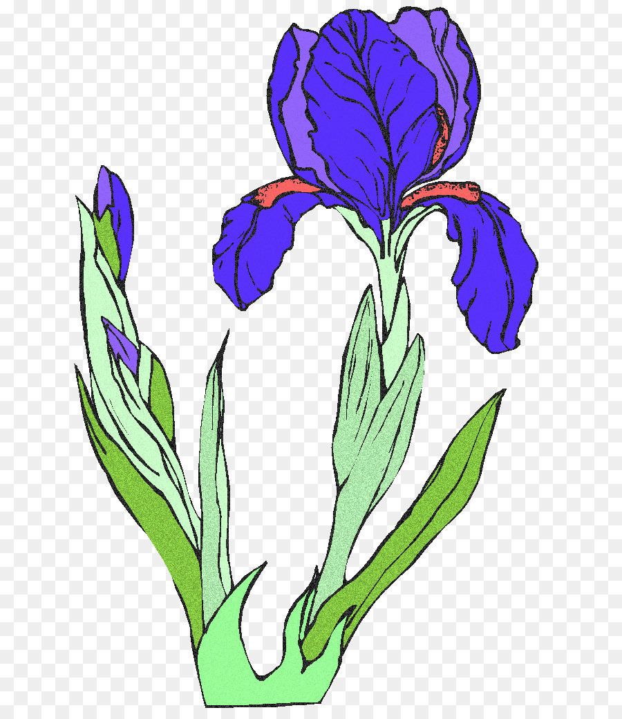 Violet，Les Fleurs Coupées PNG