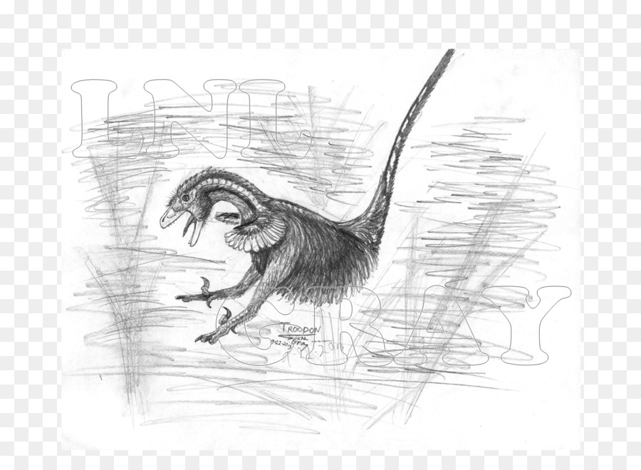 Bec，Velociraptor PNG