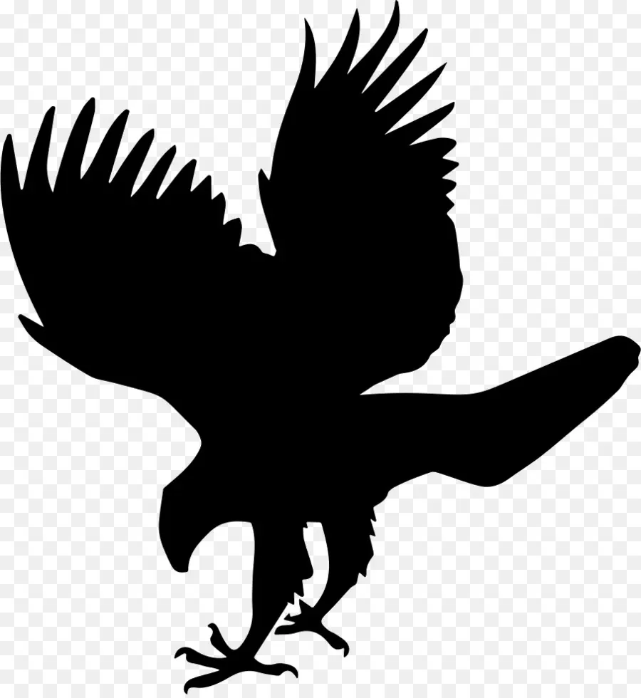 Aigle Silhouette，Ailes PNG