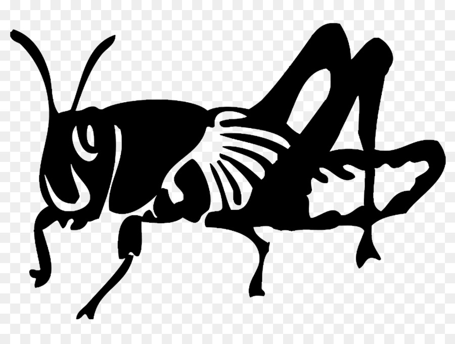 Les Insectes，Criquet PNG