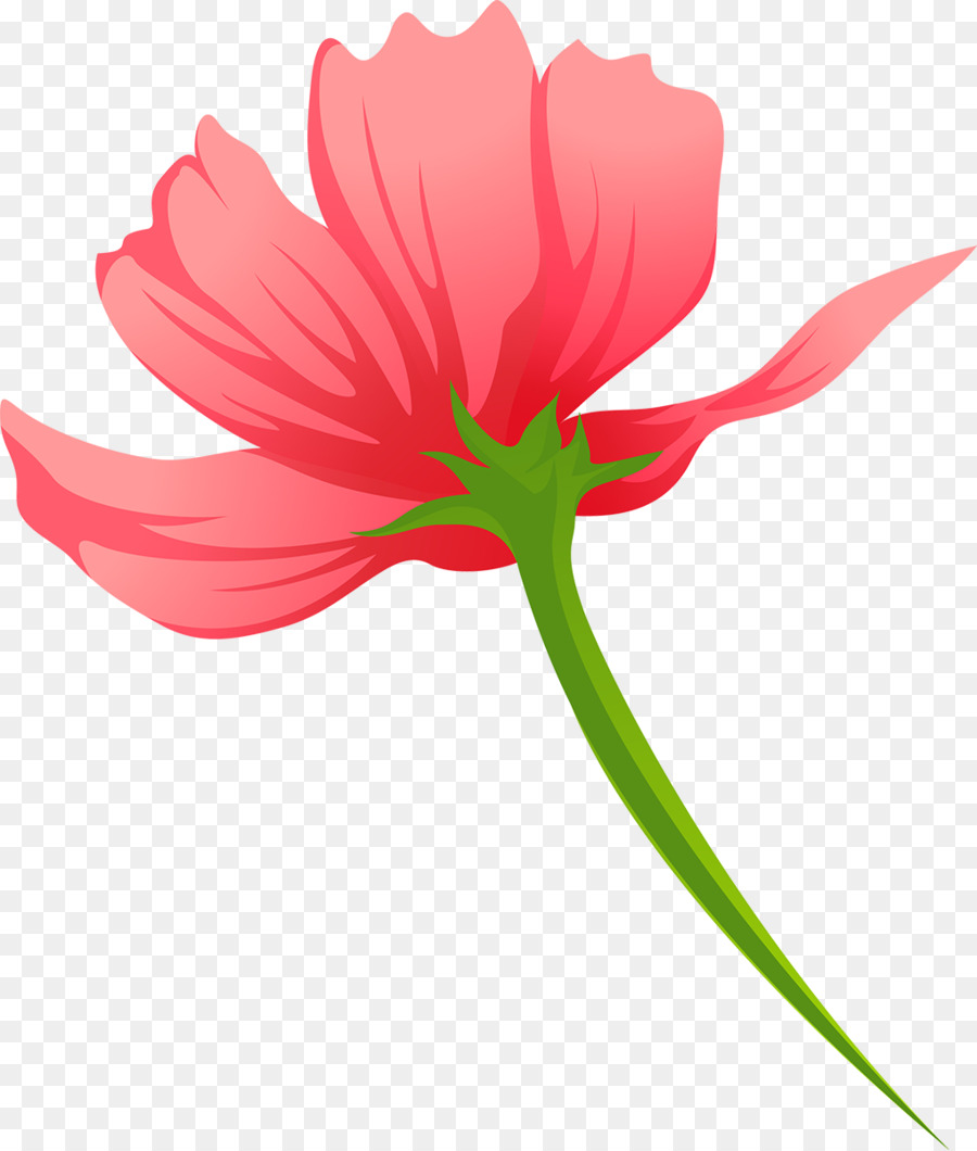 Fleur，Tige PNG