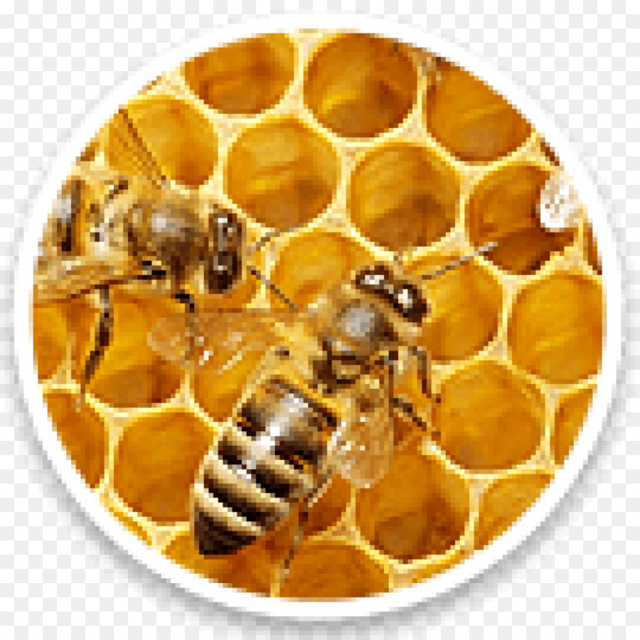 Abeilles，Rayon De Miel PNG